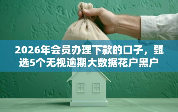 2026年会员办理下款的口子，甄选5个无视逾期大数据花户黑户口子