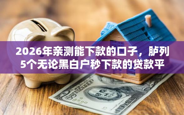 2026年亲测能下款的口子，胪列5个无论黑白户秒下款的贷款平台