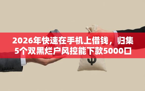 2026年快速在手机上借钱，归集5个双黑烂户风控能下款5000口子
