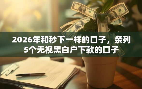 2026年和秒下一样的口子，条列5个无视黑白户下款的口子
