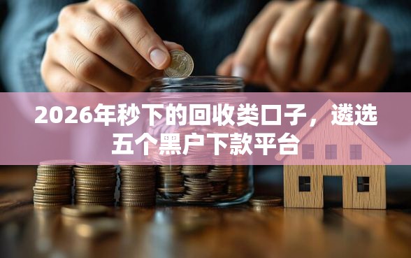 2026年秒下的回收类口子,遴选五个黑户下款平台 2026年秒下的回收类口子,遴选五个黑户下款平台