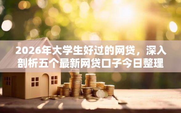 2026年大学生好过的网贷，深入剖析五个最新网贷口子今日整理这五个平台