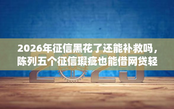 2026年征信黑花了还能补救吗，陈列五个征信瑕疵也能借网贷轻松下款的app