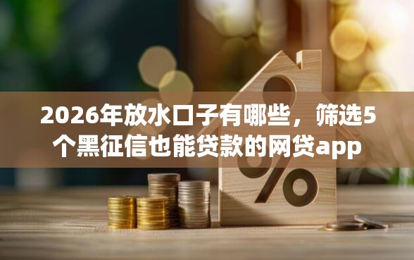 2026年放水口子有哪些，筛选5个黑征信也能贷款的网贷app