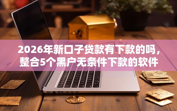 2026年新口子贷款有下款的吗，整合5个黑户无条件下款的软件