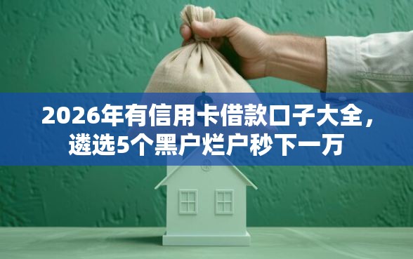 2026年有信用卡借款口子大全，遴选5个黑户烂户秒下一万