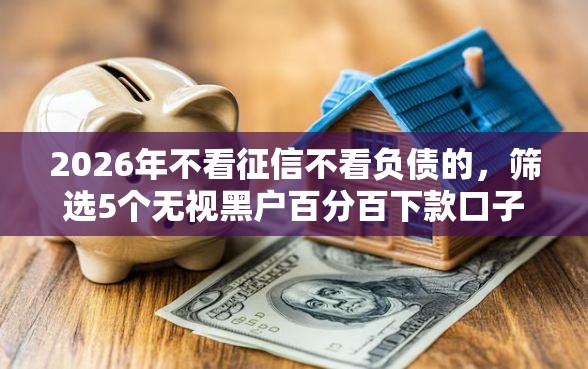 2026年不看征信不看负债的，筛选5个无视黑户百分百下款口子