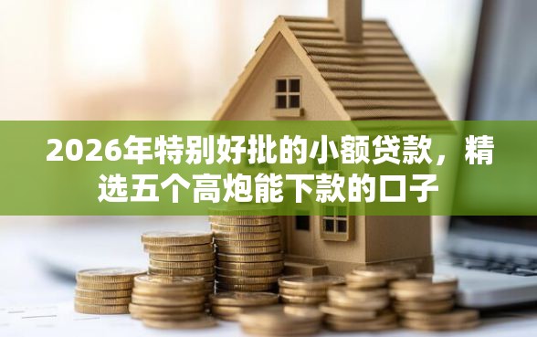 2026年特别好批的小额贷款，精选五个高炮能下款的口子