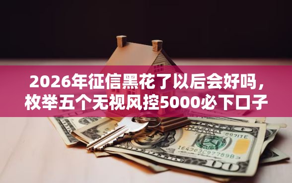 2026年征信黑花了以后会好吗，枚举五个无视风控5000必下口子