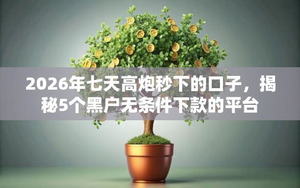2026年七天高炮秒下的口子，揭秘5个黑户无条件下款的平台