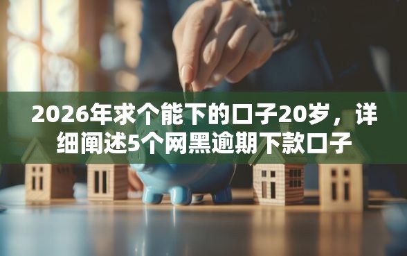 2026年求个能下的口子20岁，详细阐述5个网黑逾期下款口子