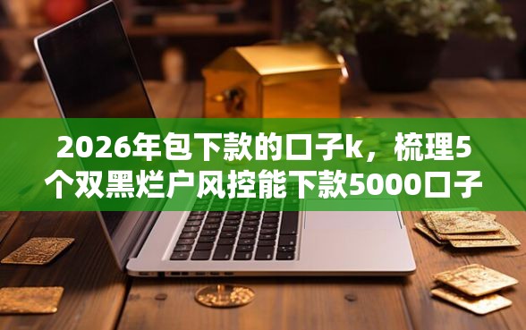 2026年包下款的口子k，梳理5个双黑烂户风控能下款5000口子