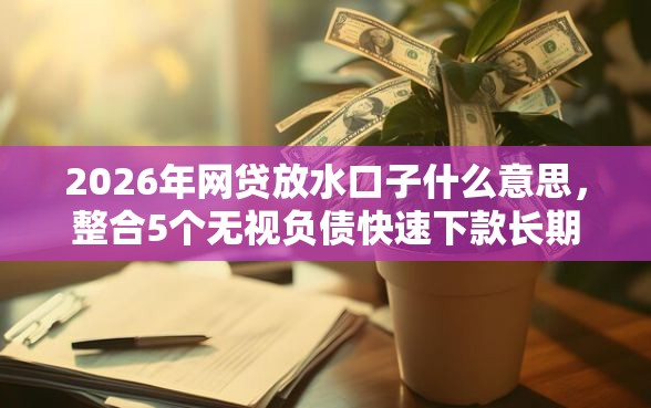 2026年网贷放水口子什么意思，整合5个无视负债快速下款长期网贷的平台