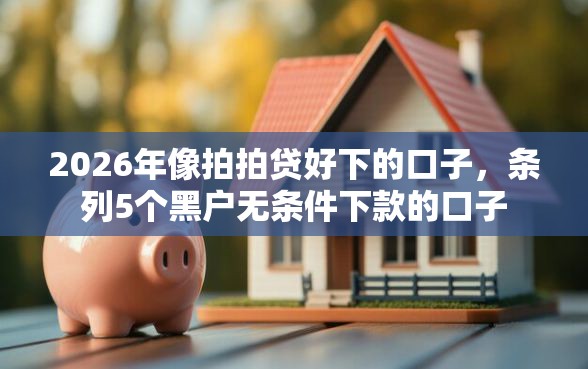 2026年像拍拍贷好下的口子，条列5个黑户无条件下款的口子