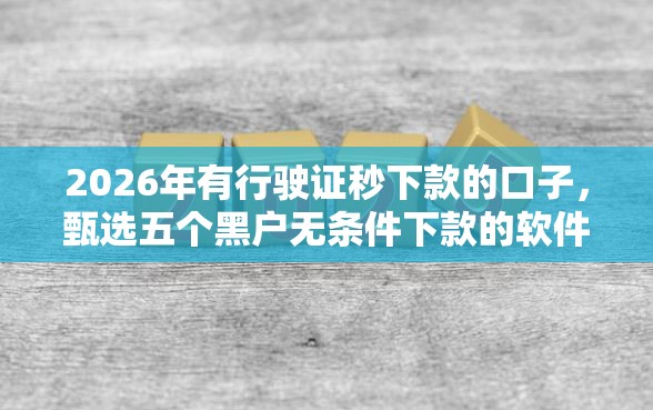 2026年有行驶证秒下款的口子，甄选五个黑户无条件下款的软件