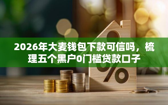 2026年大麦钱包下款可信吗，梳理五个黑户0门槛贷款口子