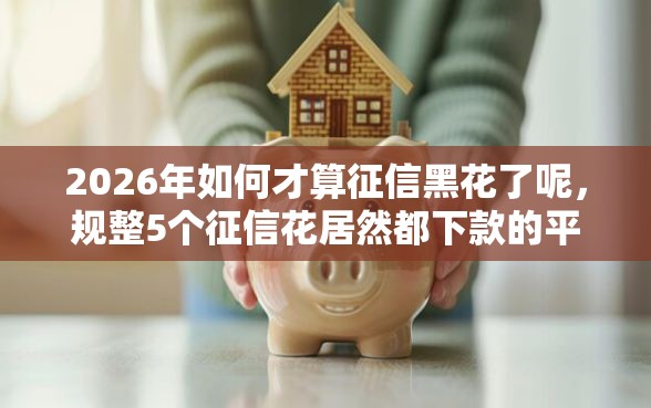 2026年如何才算征信黑花了呢，规整5个征信花居然都下款的平台