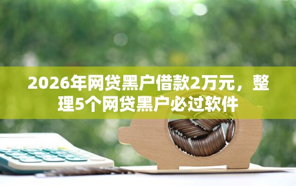 2026年网贷黑户借款2万元，整理5个网贷黑户必过软件