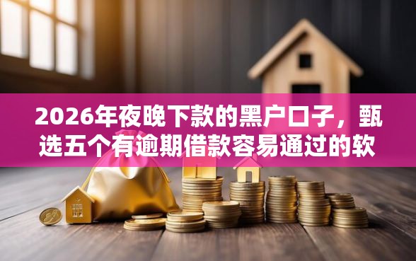 2026年夜晚下款的黑户口子，甄选五个有逾期借款容易通过的软件