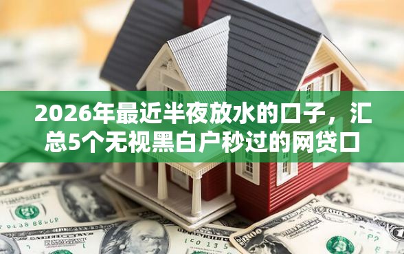 2026年最近半夜放水的口子，汇总5个无视黑白户秒过的网贷口子