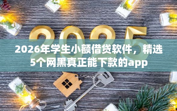 2026年学生小额借贷软件，精选5个网黑真正能下款的app