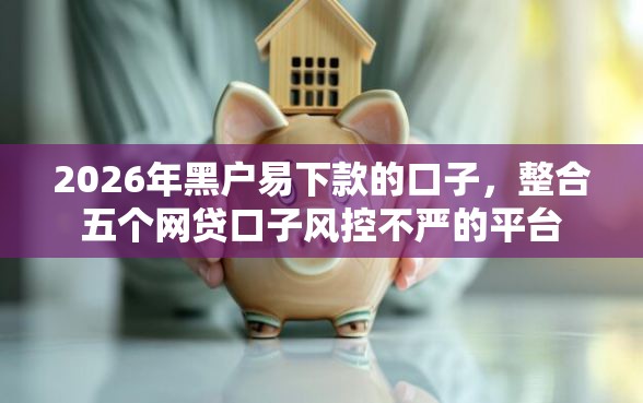 2026年黑户易下款的口子，整合五个网贷口子风控不严的平台
