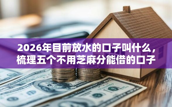2026年目前放水的口子叫什么，梳理五个不用芝麻分能借的口子