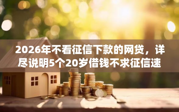 2026年不看征信下款的网贷，详尽说明5个20岁借钱不求征信速借app
