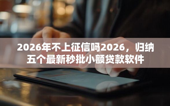 2026年不上征信吗2026，归纳五个最新秒批小额贷款软件