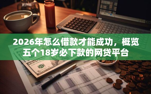 2026年怎么借款才能成功，概览五个18岁必下款的网贷平台