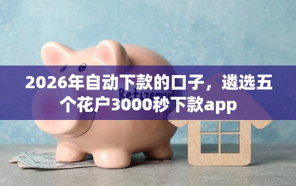 2026年自动下款的口子，遴选五个花户3000秒下款app