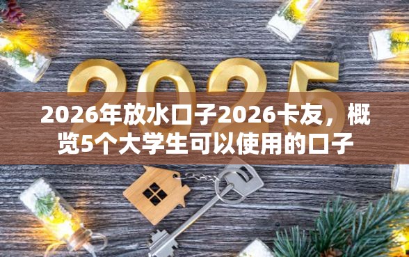 2026年放水口子2026卡友，概览5个大学生可以使用的口子