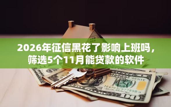 2026年征信黑花了影响上班吗，筛选5个11月能贷款的软件