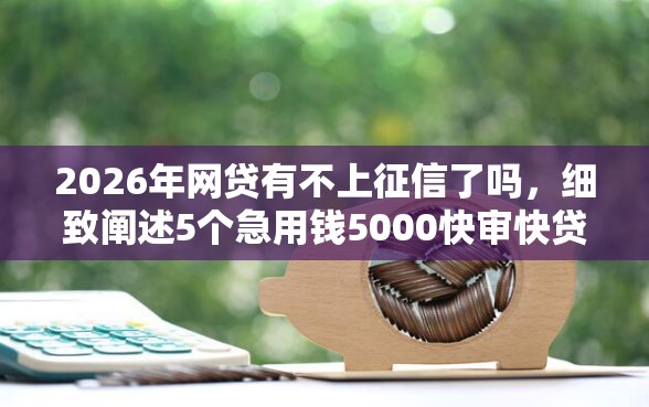 2026年网贷有不上征信了吗，细致阐述5个急用钱5000快审快贷无需征信平台