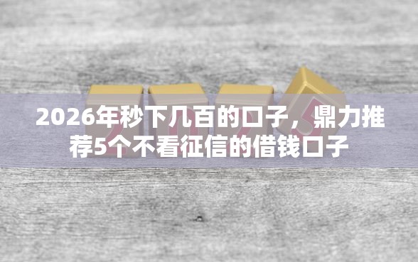 2026年秒下几百的口子，鼎力推荐5个不看征信的借钱口子