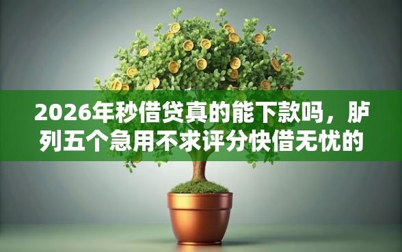 2026年秒借贷真的能下款吗，胪列五个急用不求评分快借无忧的软件
