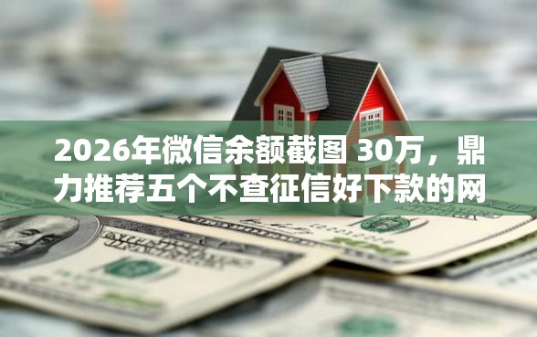 2026年微信余额截图 30万，鼎力推荐五个不查征信好下款的网贷口子