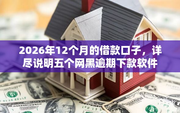 2026年12个月的借款口子,详尽说明五个网黑逾期下款软件 2026年12个月的借款口子,详尽说明五个网黑逾期下款软件