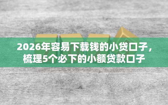2026年容易下载钱的小贷口子，梳理5个必下的小额贷款口子