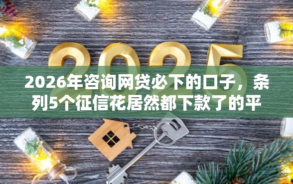 2026年咨询网贷必下的口子，条列5个征信花居然都下款了的平台