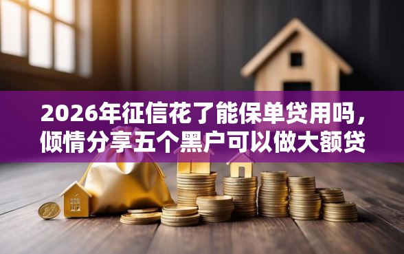 2026年征信花了能保单贷用吗，倾情分享五个黑户可以做大额贷款软件