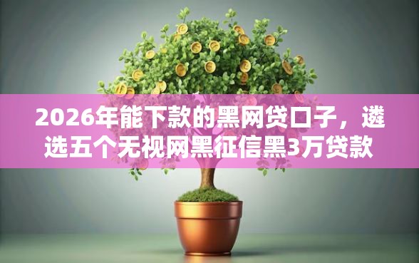 2026年能下款的黑网贷口子，遴选五个无视网黑征信黑3万贷款
