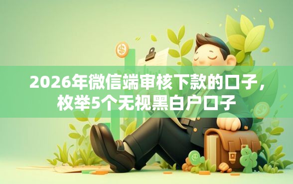 2026年微信端审核下款的口子，枚举5个无视黑白户口子
