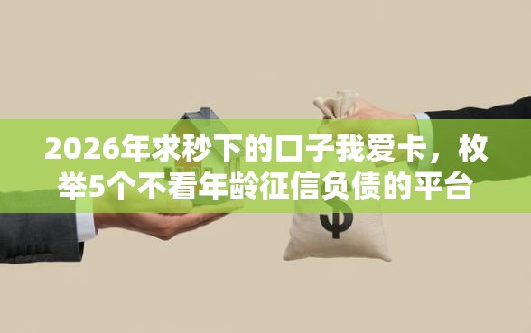 2026年求秒下的口子我爱卡，枚举5个不看年龄征信负债的平台