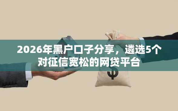 2026年黑户口子分享，遴选5个对征信宽松的网贷平台