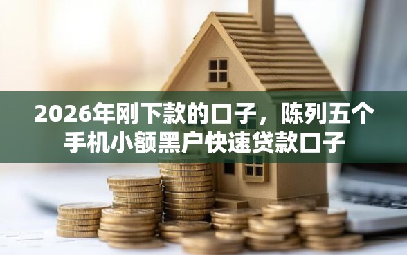 2026年刚下款的口子，陈列五个手机小额黑户快速贷款口子