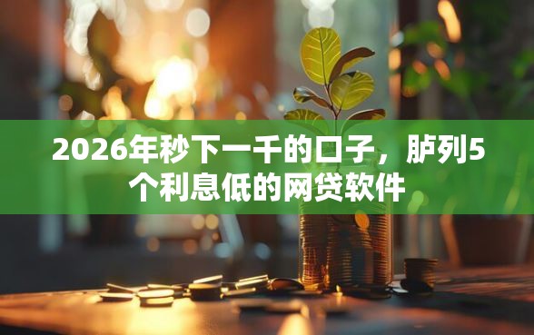 2026年秒下一千的口子，胪列5个利息低的网贷软件