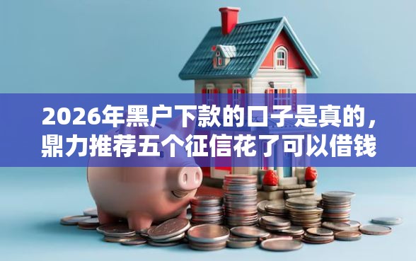 2026年黑户下款的口子是真的，鼎力推荐五个征信花了可以借钱的网贷平台