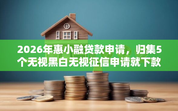 2026年惠小融贷款申请，归集5个无视黑白无视征信申请就下款的软件