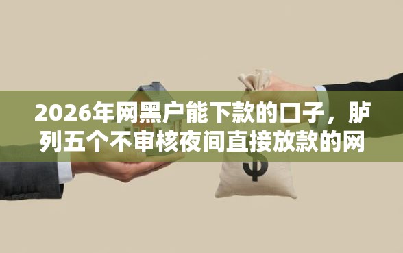 2026年网黑户能下款的口子，胪列五个不审核夜间直接放款的网贷平台